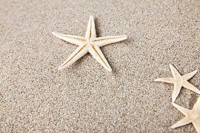 《哥谭骑士》新概念艺术图：蝙蝠女和猫头鹰法庭